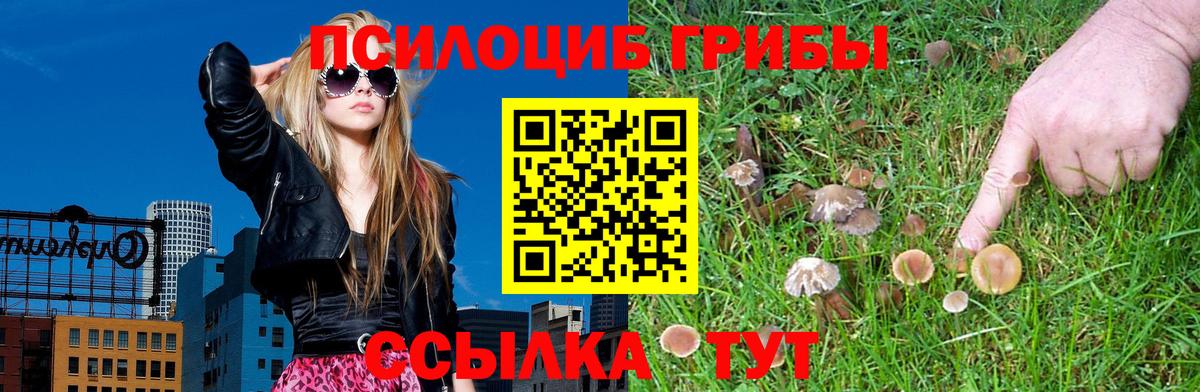 Галлюциногенные грибы Magic Shrooms  Вход с VPN  Галлюциногенные грибы MAGIC MUSHROOMS  Новошахтинск 